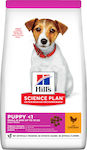 Hill's Science Plan Puppy <1 Small & Mini 3kg Dry Food for Puppies of Small Breeds with Chicken