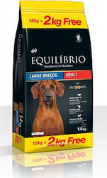 Equilibrio Adult Large 12kg