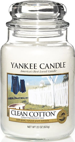 Yankee Candle Duftkerze Gefäß mit Duft Saubere Baumwolle Weiß 623gr 1Stück 5329112
