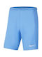 Nike Sportliche Kinder Shorts/Bermudas Park III Knit Hellblau