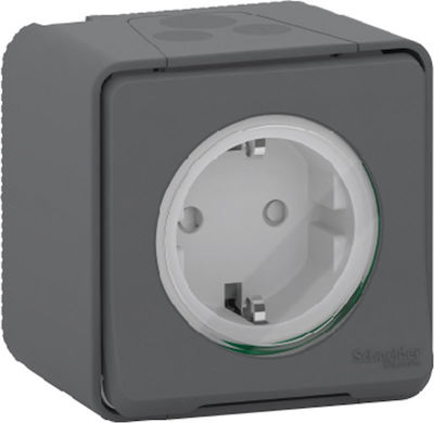 Schneider Electric Mureva Styl Single Power Safety Socket Gray