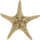 Inart Decorative Starfish made of Polyresin Gold 21.5x20x5cm 1pcs