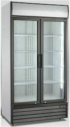 Scancool SD 1001 H Ψυγείο Αναψυκτικών 956lt Διπλό Υ202xΠ113xΒ72cm