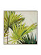 Iliadis Painting Plastic 60x60cm