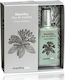 Mastihashop Mastiha Eau de Toilette 50ml