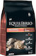 Equilibrio Preference Dry Food for Adult Cats with Salmon 2kg