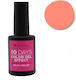 Bioshev Professional 10 Tage Farb Gel Effekt Gl...