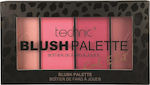 Technic Blush Blush Palette 20gr