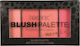 Technic Rouge Blush Palette 20gr