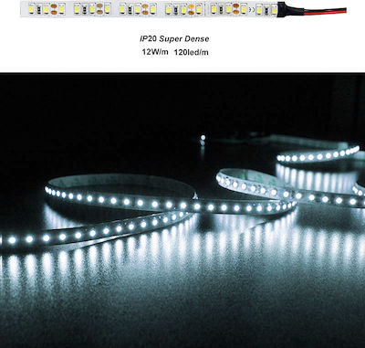 Adeleq Bandă LED Alimentare 12V cu Lumină Alb Rece Lungime 5m și 120 LED-uri pe Metru SMD3528