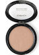 Grigi Pudră Highlighter Pro 14gr