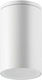 Zambelis Lights Outdoor Ceiling Spot GU10 in White Color E-220