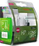 M-Tech Lămpi Powertec Long Life H7 Halogen 24V 70W 2buc