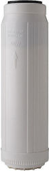 Watts 10" 5 μm OF110RM