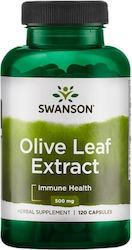 Swanson Olive Leaf Extract