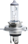 M-Tech Lampen Auto & Motorrad Standard H4 Halogen 24V 100W 1Stück