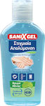 Hygiene Service Sanix Gel Antiseptic 80ml