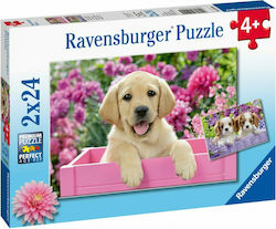 Kids Puzzle Κουτάβια for 4++ Years 48pcs Ravensburger