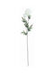 Bizzotto Artificial Decorative Branch White 1pcs 0171478