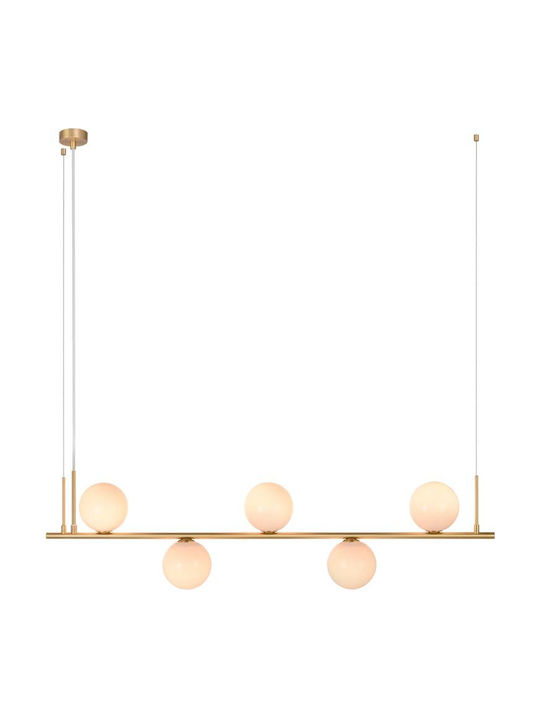 Zambelis Lights Adjustable Pendant Light Gold for 5 Bulbs E14, E.14 115x115x34cm