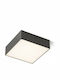 Rendl Light Studio Larisa SQ 17 Ceiling Πλαφονιέρα Οροφής 17εκ. Μαύρη με Ενσωματωμένο LED