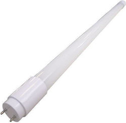 Eurolamp LED Lampen Fluoreszenztyp 150cm für Fassung G13 und Form T8 Warmes Weiß 2520lm 1Stück