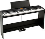 Korg Electric Stage Piano XE20SP with 88 Weighted Keys Built-in Speakers and Connection with Headphones and Computer Black