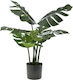 Iliadis Artificial Plant in Pot Monstera 80cm 1pcs