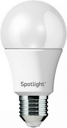 Spot Light LED Bulb 20W for Socket E27 Cool White Spot Light LED Bulb 20W for Socket E27 Cool White