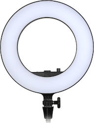 Godox Ring Light 30cm 3300 - 5600K with Mobile Holder