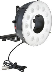 F&V Led-600 Ring Light με Επιτραπέζια Βάση