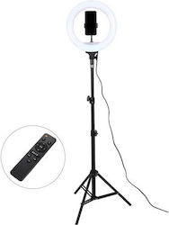 Ring Lamp Light LED Ring Light 32cm 3200 - 5600K with Tripod Floor and Mobile Holder