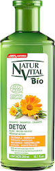 Naturaleza Y Vida Detox Sampon De Par 300ml
