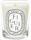 Diptyque Aromatic Candle in Jar with Perfume Figuier 70g