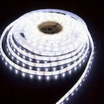 Aca Ταινία LED SMD3528 12V IP65 Ψυχρό Λευκό 5m