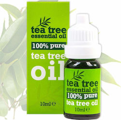 Xpel Essential Oil Tea Tree 10ml