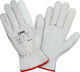 Lampa Gloves for Work Driver White Leather 1pcs