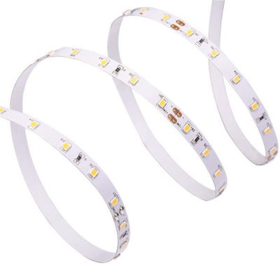 Eurolamp LED Strip Power Supply 12V with Yellow Light Length 5m and 60 LEDs per Meter SMD2835