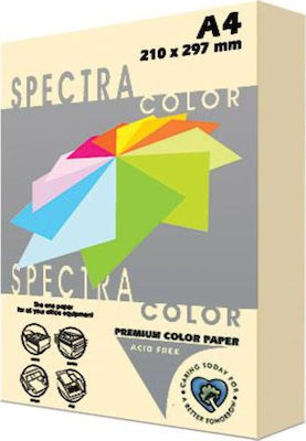 Spectra Color Druckpapier A4 160gr/m² 1x250 Blätter Ivory