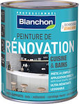 Blanchon Renovation Plastic Vopsea pentru Utilizare Intern Black 500ml