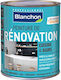 Blanchon Renovation Plastic Paint for Interior Use Black 500ml