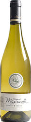 Masciarelli Λευκό Ξηρό 750ml Masciarelli Λευκό Ξηρό 750ml