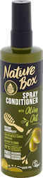 Nature Box Conditioner With 100% Cold-Pressed Olive Oil 200ml