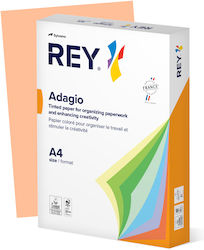 Clariana Color Plus Printing Paper A4 160g/m² 250 Sheets Orange