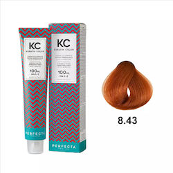 Faipa Perfecta Keratin Color Βαφή Μαλλιών 8.43 ...