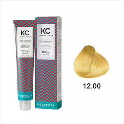 Faipa Perfecta Keratin Color Haarfärbemittel Oh...
