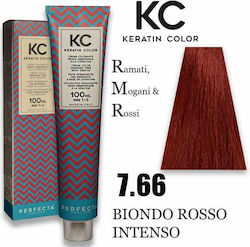 Faipa Perfecta Keratin Color Βαφή Μαλλιών Χωρίς...