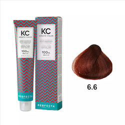 Faipa Perfecta Keratin Color Haarfärbemittel Oh...
