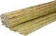 Lianos Bamboo Fencing with Whole Reed 1x3m