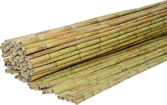 Showood Καλαμωτή με Ολόκληρο Καλάμι 2x3m